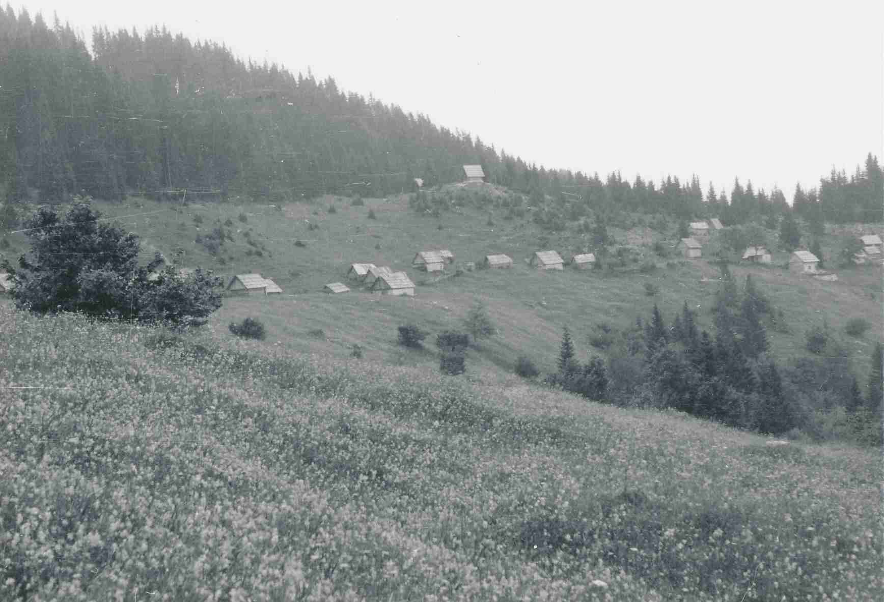 eika image